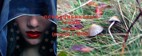 мдпв Новокубанск