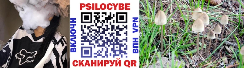 Псилоцибиновые грибы мицелий  Купить закладки  Ковров 